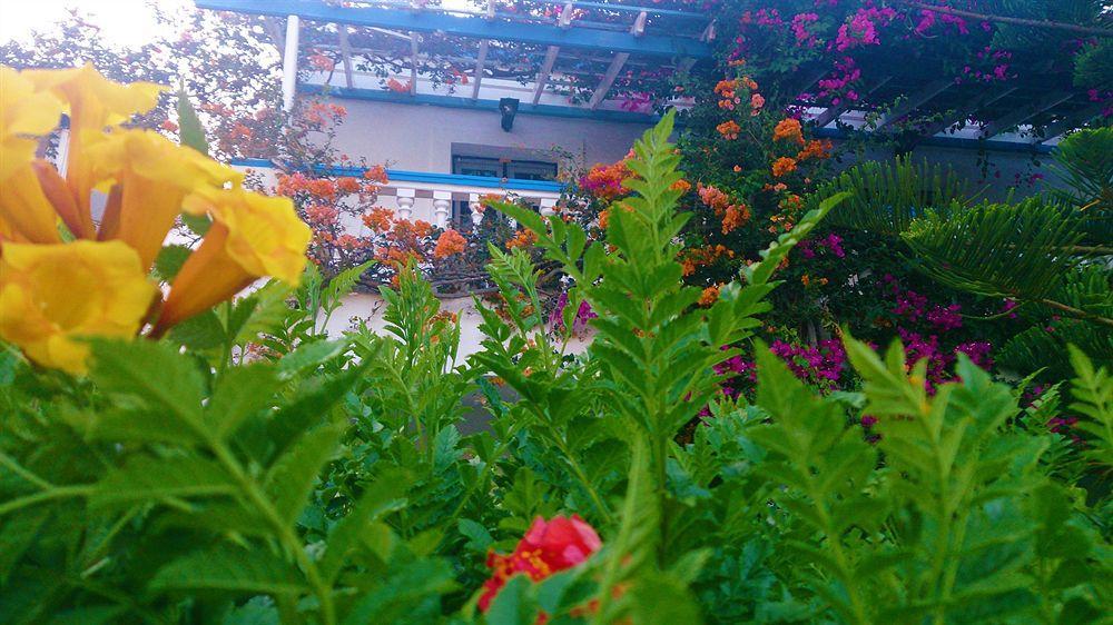 Angelika Aparthotel Alinda  Bagian luar foto